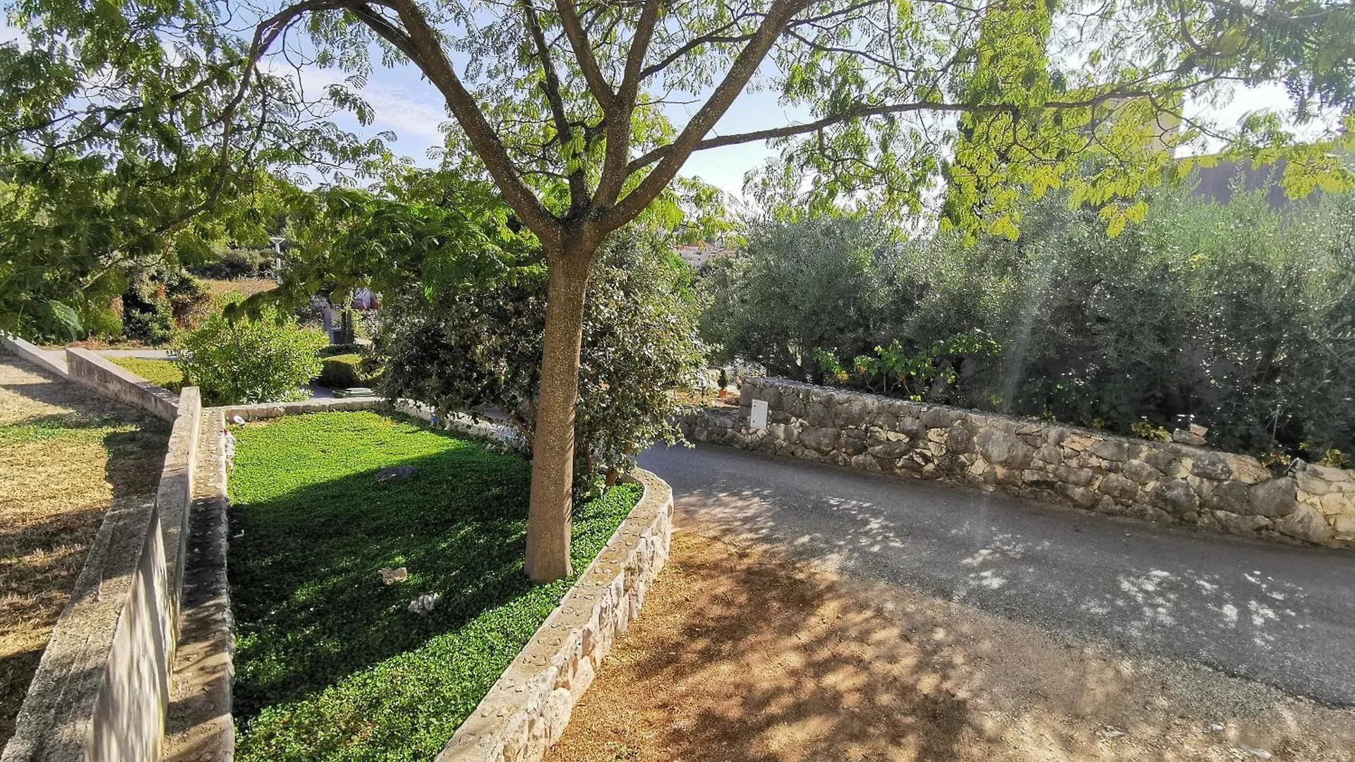 Apartment Adriana Seget Vranjica